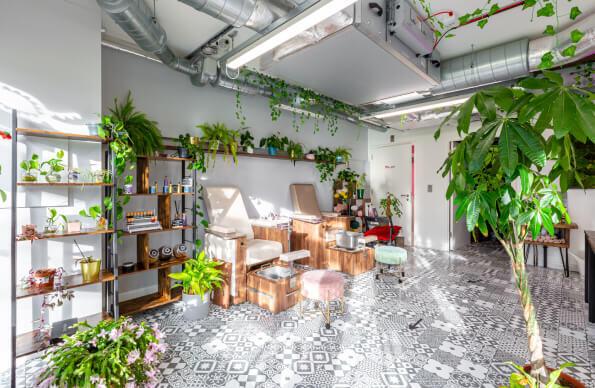 A light filled spa room with plants and greenery 