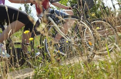 Cyclists in the Park