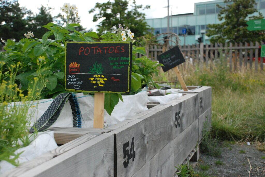 Free Gardening Workshops with Mobile Garden