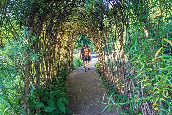 Two people walking on path through trees